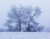 Blog Alain